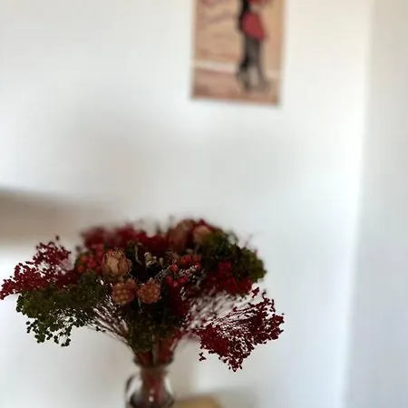 Cosy Calao - Parking Ferme Gratuit Apartment *